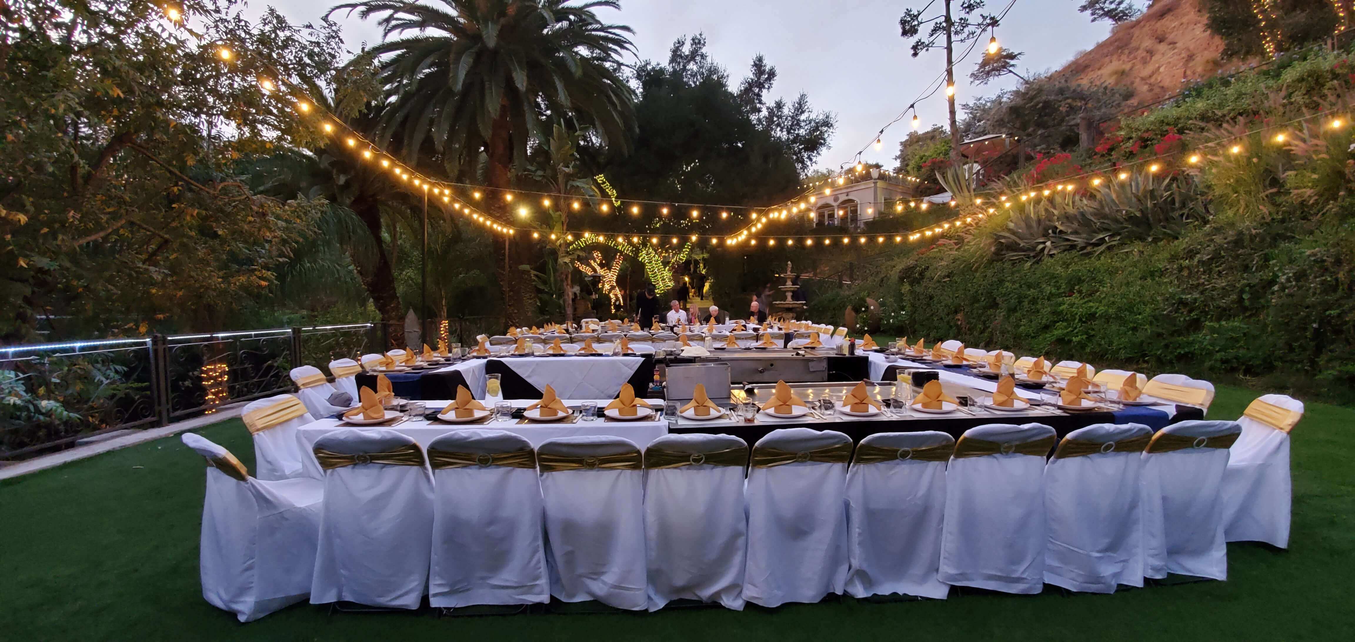 Hibachi Catering Show11